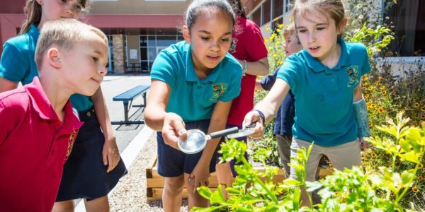 Children gardening at Garden at Doral Academy of Nevada in Summerlin