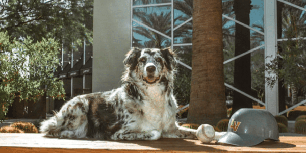 @halos.aussie.adventures