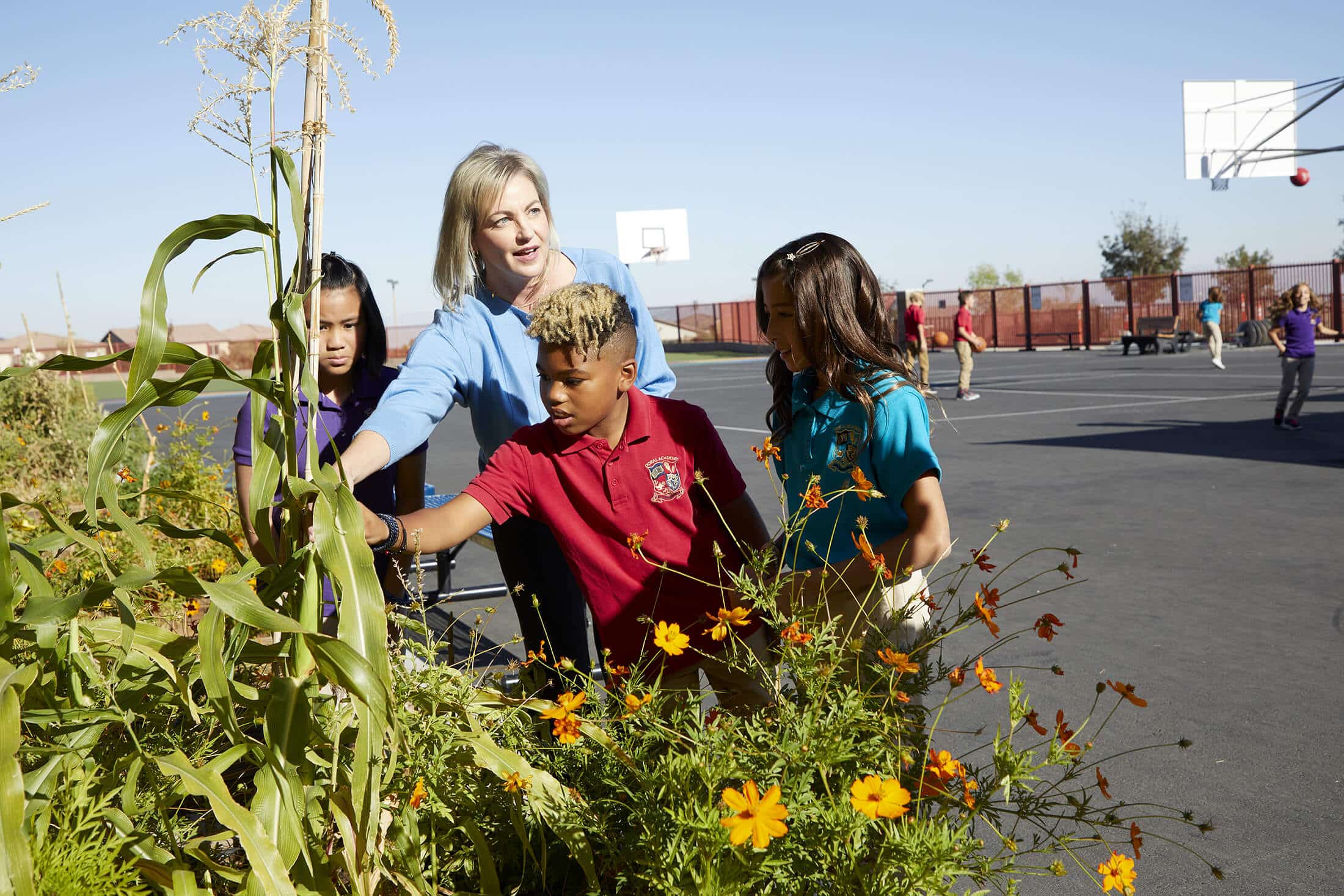 Doral Academy in Summerlin