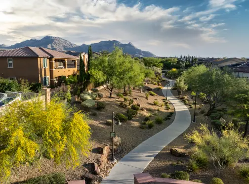 Why_Summerlin A winding sidewalk runs through a landscaped desert neighborhood with green trees, shrubs, and brown homes. Mountains and a partly cloudy blue sky are visible in the background.