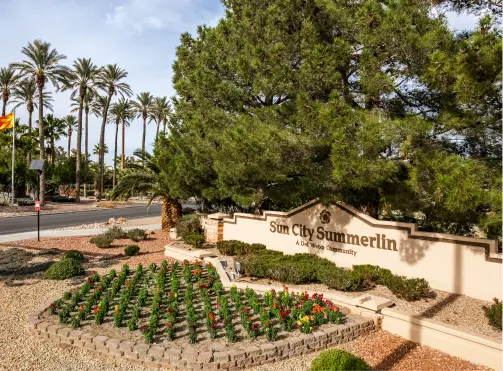 Entrance sign for Sun City Summerlin, a Del Webb community, surrounded by landscaped flowerbeds, desert plants, and tall palm trees on a sunny day.