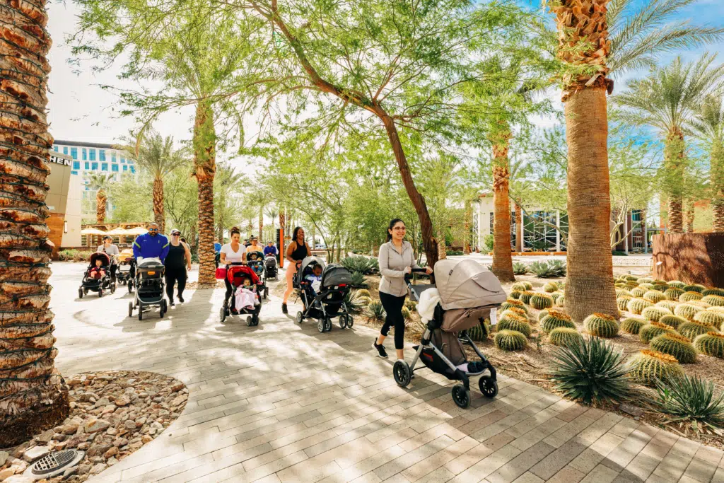 A group of adults push strollers along a paved path lined with palm trees and cacti in a sunny, landscaped outdoor setting. The people appear relaxed and are enjoying a walk together.